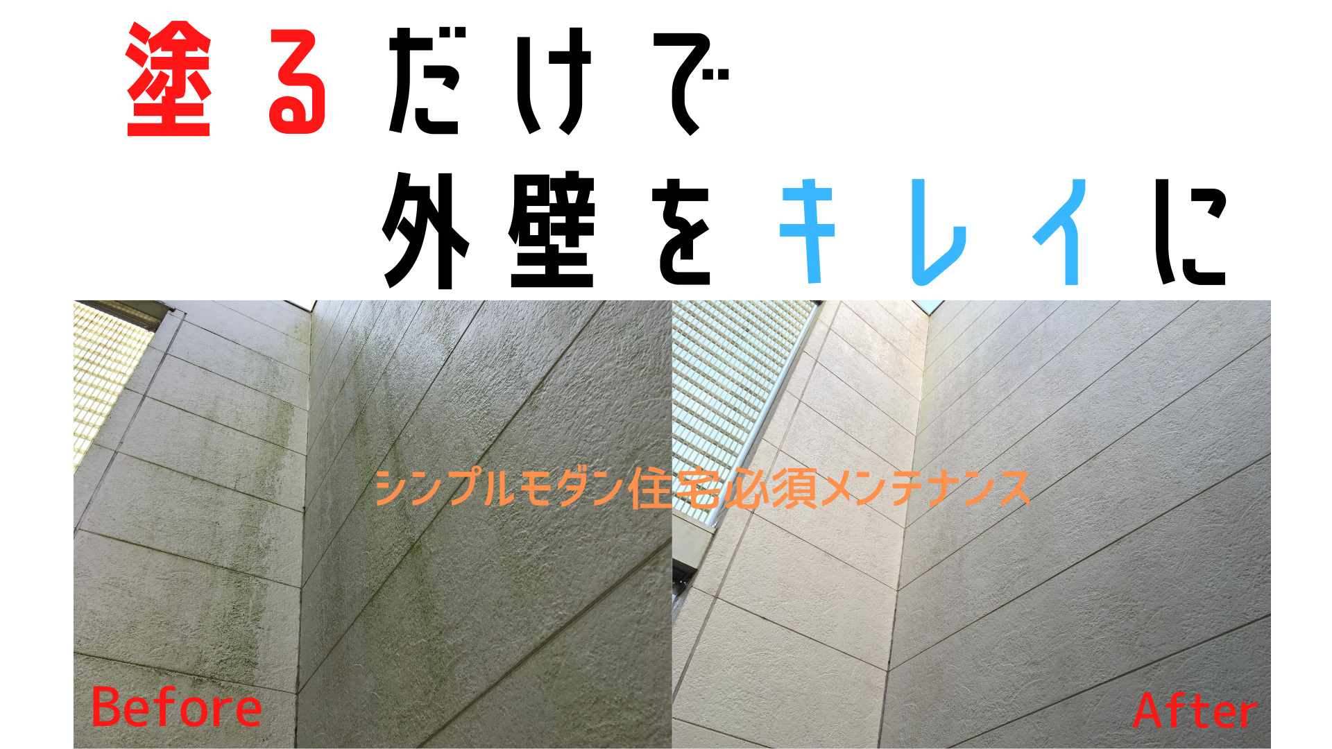 住宅外壁のコケやカビを激落とし 誰でも簡単にできる清掃方法 イエ家いえ