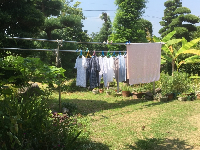 庭に干された洗濯物