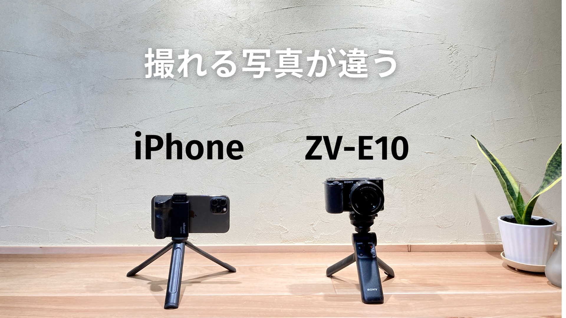 iPhoneカメラ一筋人間がミラーレス一眼（ZV-E10）を使って感じた4つの 